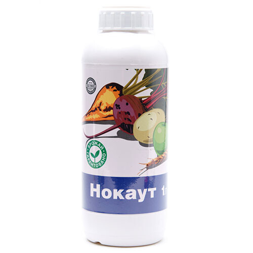 Нокаут