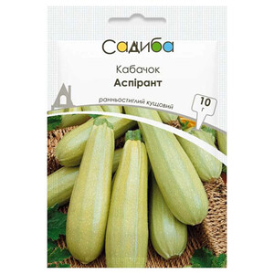 Аспірант