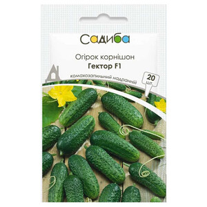 Гектор F1