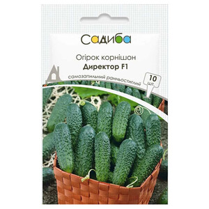 Директор F1