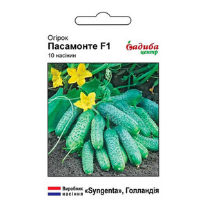 Пасамонте F1