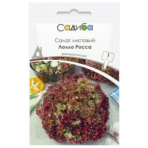 Лолло Росса