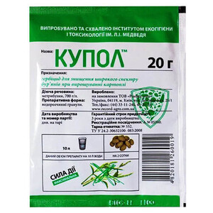 Купол