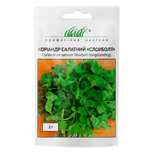 Слоуболт