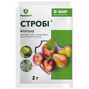 Стробі