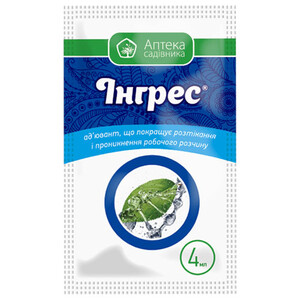 Інгрес
