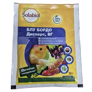 Блу Бордо Дисперс