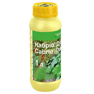 Кабріо Дуо