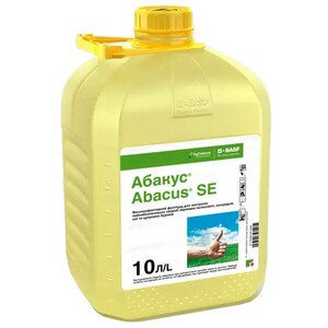 Абакус