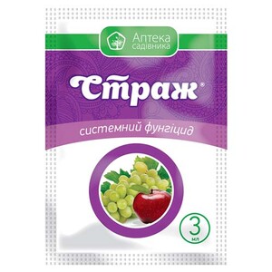Страж