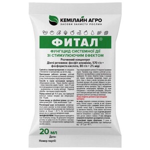 Фитал
