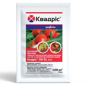 Квадріс