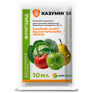 Казумін