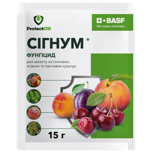 Сігнум
